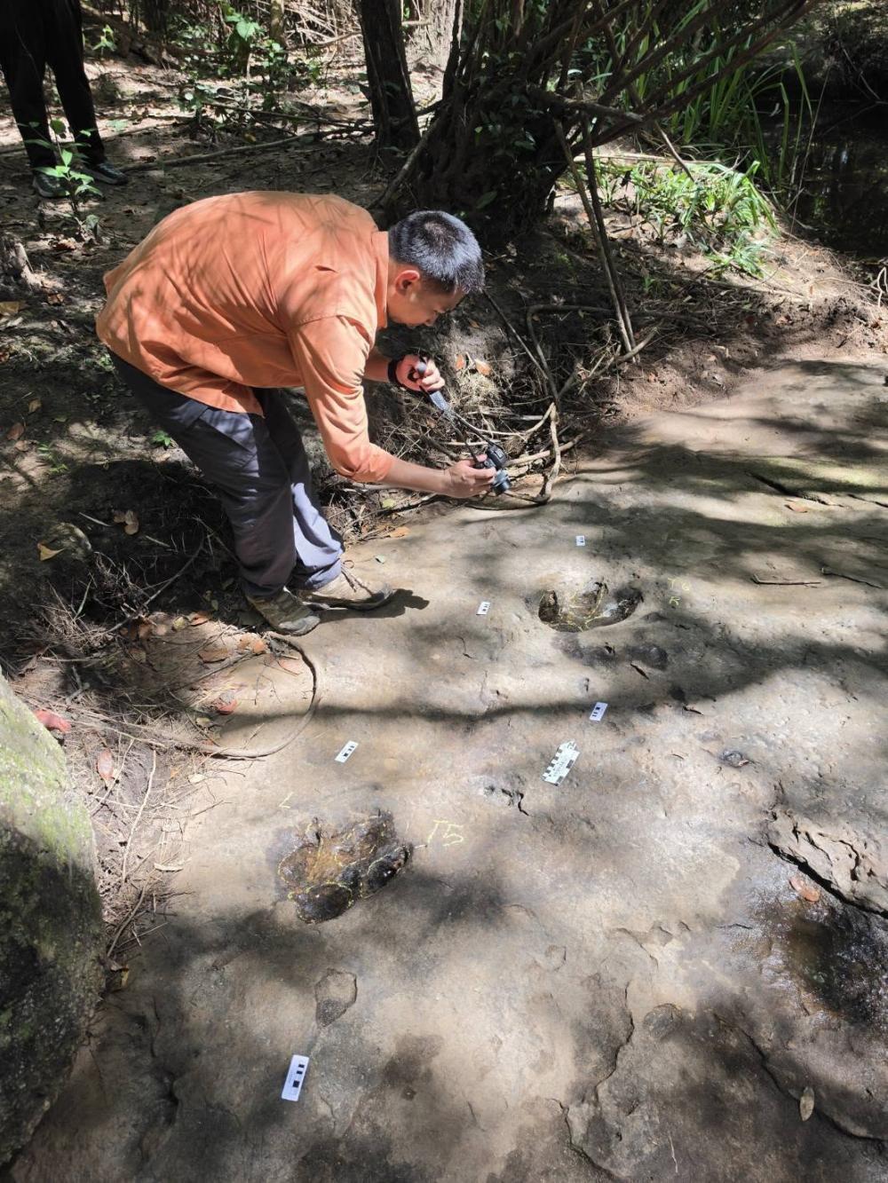An official from the Department of Mineral Resources (DMR) records evidence of a dinosaur footprint at Phu Hin Chom That-Phu Phra Bat National Park in Ban Phue district in Udon Thani. DMR